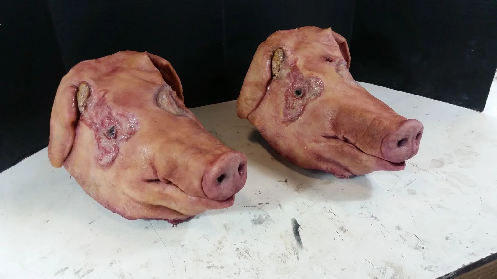 Prop Pig Heads from "Graceland" TV Show