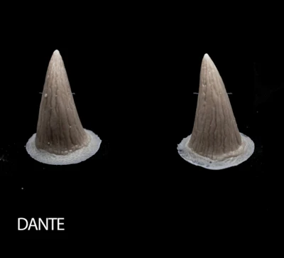 DANTE silicone prosthetic by NexFX