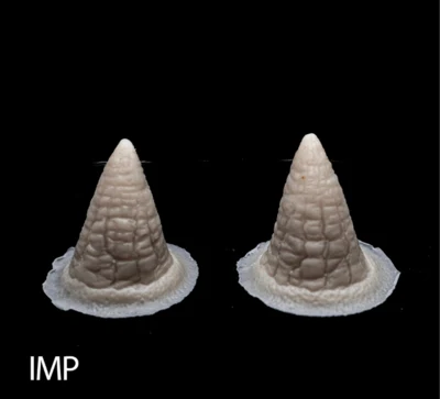 IMP silicone prosthetic by NexFX